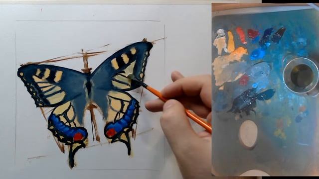 Пишем бабочку Парусник масляными красками смотреть онлайн