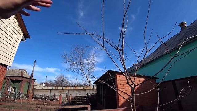 Весенние хлопоты. Что делать с черешней? смотреть онлайн