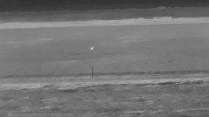 Заяц в тепловизионный прицел guide tr450, 200+м