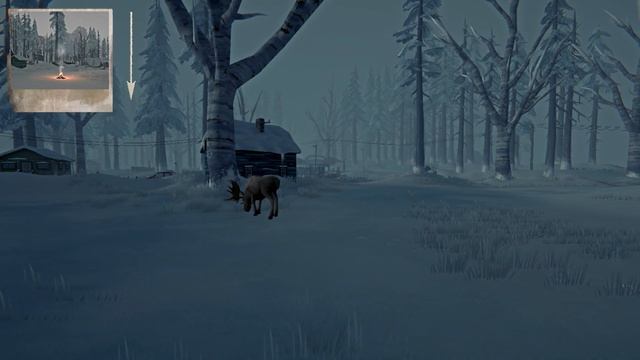 ГДЕ НАЙТИ ЛОСЯ (ПРИБРЕЖНОЕ ШОССЕ И ЗОНА ЗАПУСТЕНИЯ) | THE LONG DARK