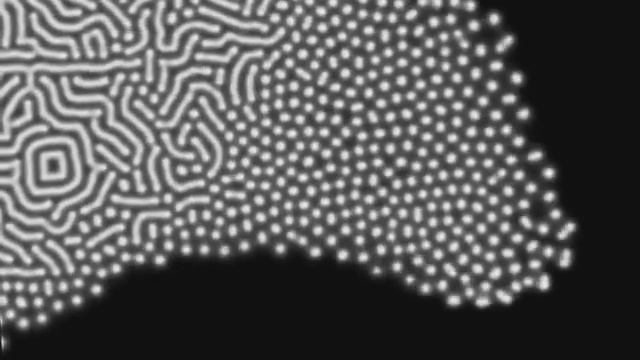 Ричард Фейнман - Истина восхитительна и поразительна смотреть онлайн