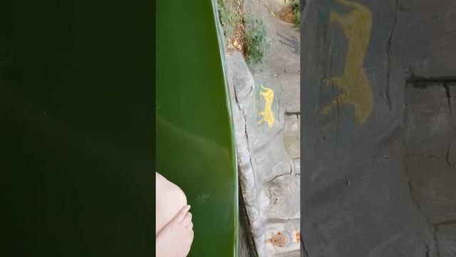 аттракцион "Сафари" смотреть онлайн