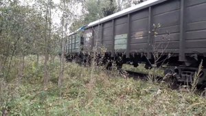 "Вэшка в голове"! Тепловоз 2ТЭ10В-4907 с грузовым поездом.  ППЖТ