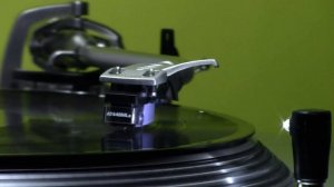 STEELY DAN - Rikki Don't Lose That Number