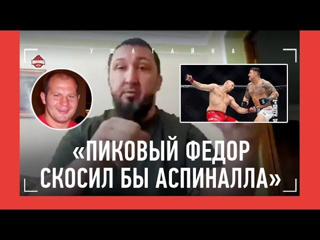 Павлович о бое с волковым