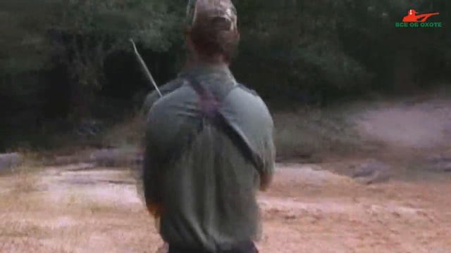 Животные без присмотра смотреть онлайн