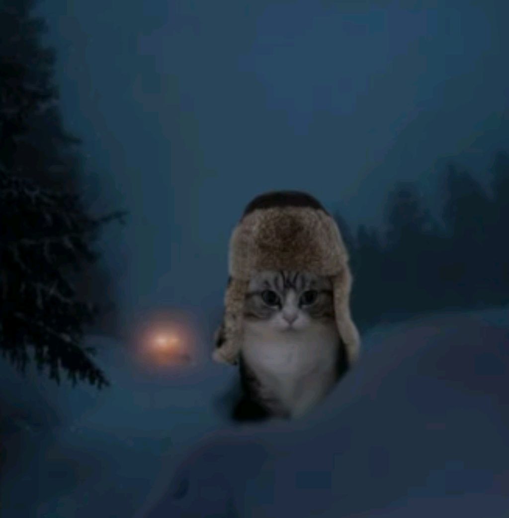 строим дом