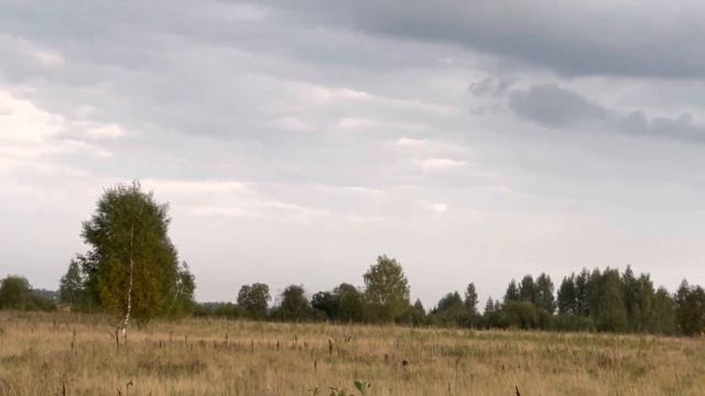 Соколиная охота. Сентябрь 2021