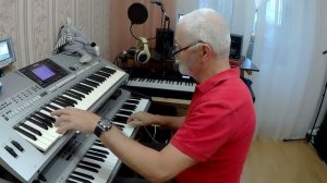 Salma Ya Salama.cover