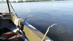 Рыбалка на леща, кольцо, Берсут, Кама