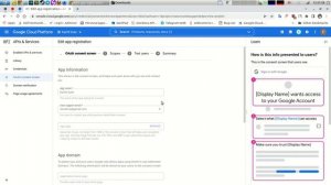 How to setup credentials.json to access Google API