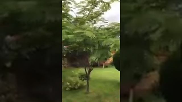 ЕКАТЕРИНОДАР - Я ХОЧУ БЫТЬ ОДИН… УХОДИ. (Солодкин) смотреть онлайн