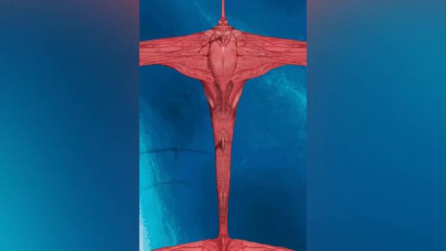 Phtanum B - Art Compilation смотреть онлайн