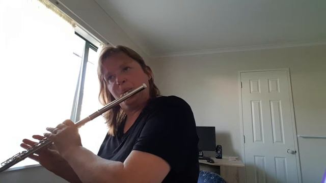 Vivace from Sonata no1 in F major Telemann смотреть онлайн