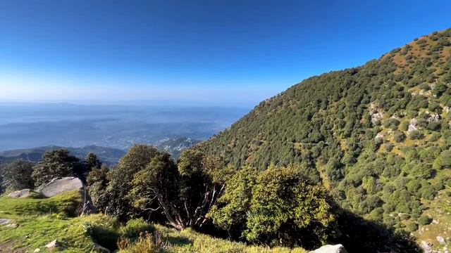 Triund. Индия. Путешествие в Гималайские горы. ASMR