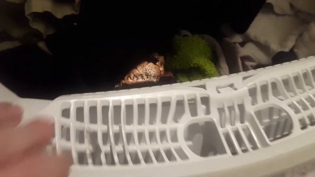 Сушильная машина beko DF7412GA смотреть онлайн