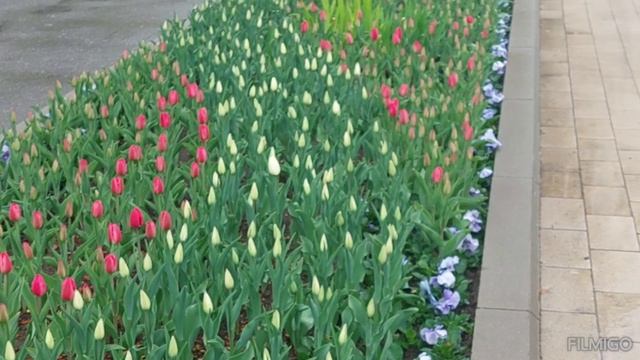 NATIKSTAR поздравляет всех с праздником 1 МАЯ!!! ? смотреть онлайн