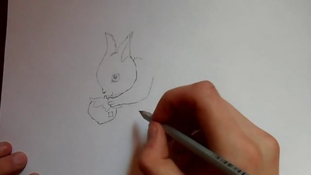 Видео: как нарисовать белку?