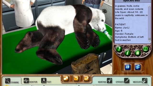 Zoo Vet - New Game + Tutorial (Jia Li, The Giant Panda) смотреть онлайн
