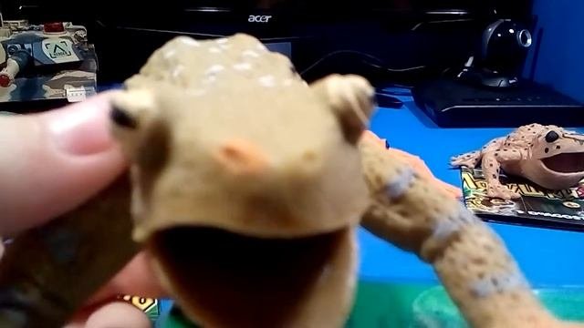 лягушки макси и еще +5 лягушек