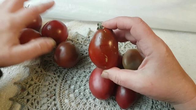 Zrobię sobie ... POMIDORA смотреть онлайн