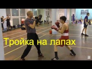 Бокс: тройка на лапах/Boxing: one-two-three on mitts