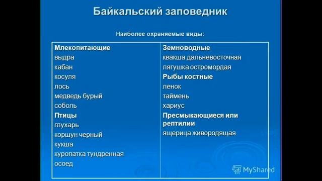 Тундренная куропатка смотреть онлайн