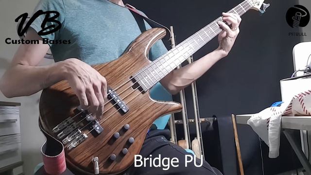 VB Bass - Regulus Custom 4-34 / 004 Sound смотреть онлайн