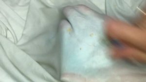 РЖАВЧИНА  ПЯТНА   3 способа КАК УДАЛИТЬ