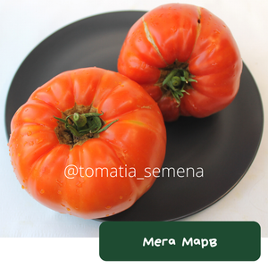 Мега Марв