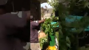 Shredding with the Cramer Kompost Meister