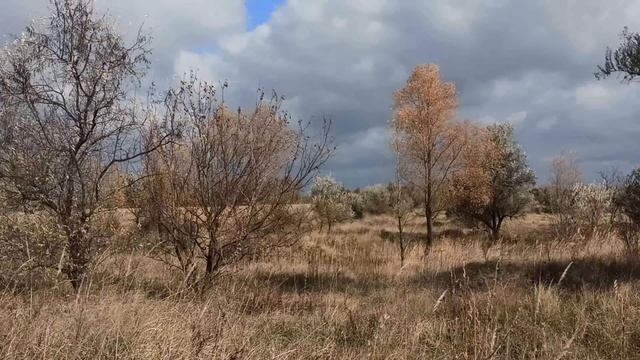 22 декабря праздник ДЕНЬ СВЯТОЙ АННЫ. Народные традиции и запреты. Что делать нельзя. смотреть онлайн