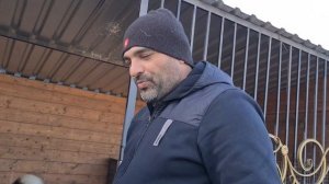 Пёс поёт под балалайку
