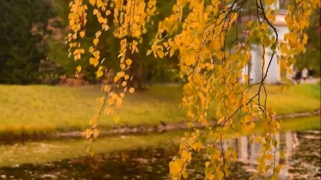 ролик Баулина Николая ОСЕНЬ НАСТУПИЛА смотреть онлайн