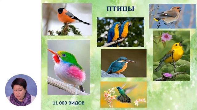 Познание мира, 3-й класс, Наземно-воздушная среда обитания
