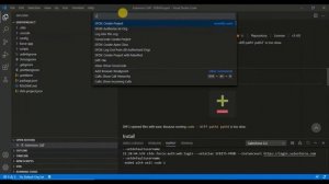 VS Studio Code- Adding Extension & Authorize Org