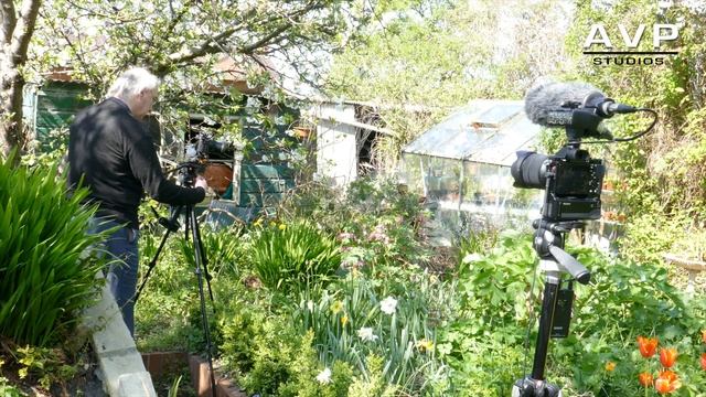 Sony RX10ii filming in S Log2 & filming with Sony a7 смотреть онлайн