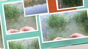 Щучий стример своими руками Поклевка щуки на стример Pike streamer