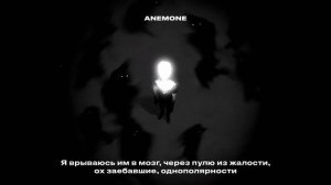ДЕКОДИНГ: mzlff, STED.D - однополярности