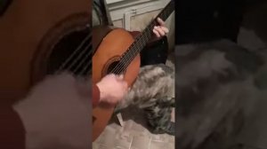 Высоцкий Серебрянные родники