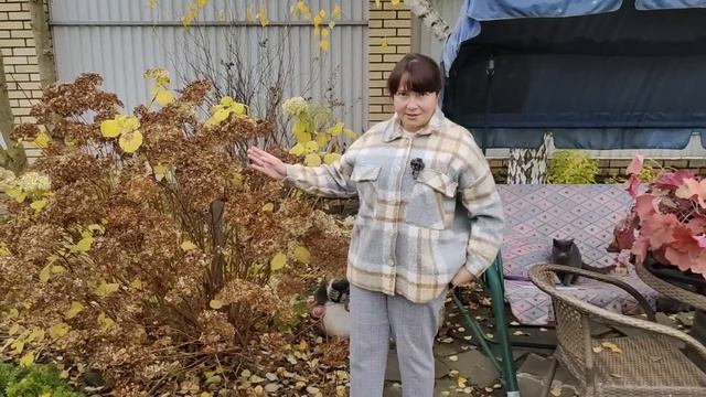 Как обрезать гортензии? Обрезка всех видов гортензий в одном видео!