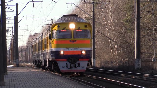 Дизель-поезд ДР1А-290 на о.п. Яуногре / DR1A-290 DMU at Jaunogre stop смотреть онлайн