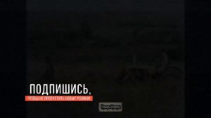 Сайра Бану Дилип Кумар
