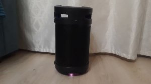 Smartbuy Z1 SBS-970 портативная акустическая система + караоке