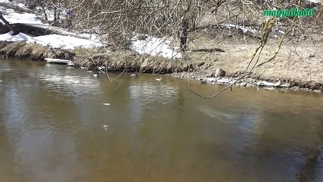 Latvija.Dobele.(2)2013