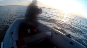 Рыбалка. Ловля сома на поставуши