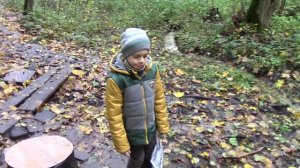 Вместе веселее - детский канал - прогулка в осеннем лесу