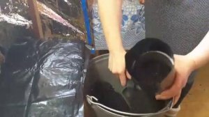 Как очень просто и быстро сделать горшки для выращивания растений из чёрной пленки?