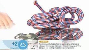1 канал. Контрольная закупка. Буксировочный канат. ТД Сигма