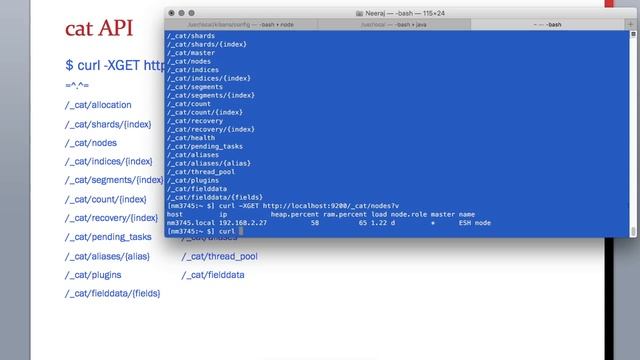 15.10 ElasticSearch Training - Run Cat API using Terminal